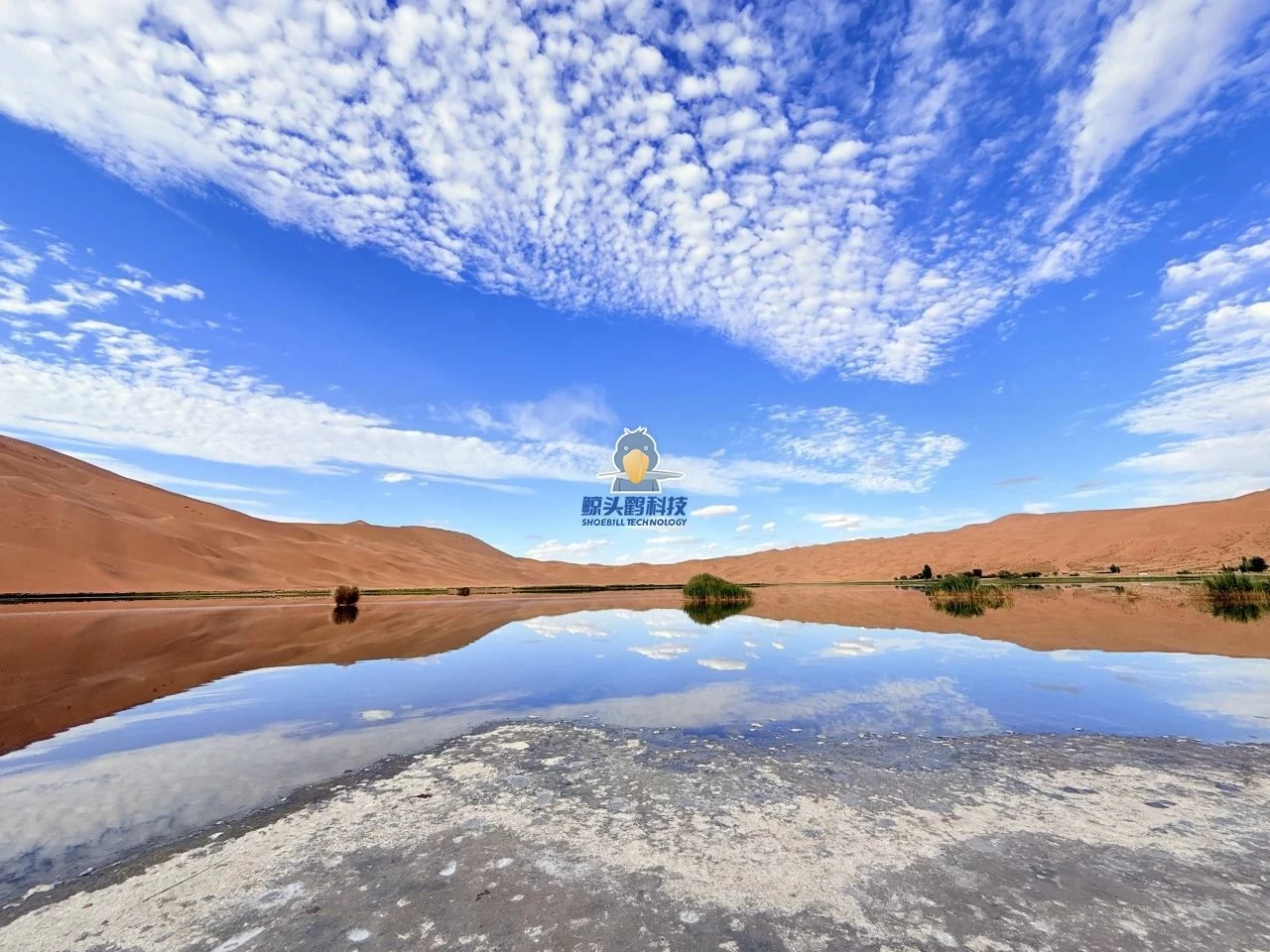 المغامرة في قلب الصحراء المغامرة في قلب الصحراء