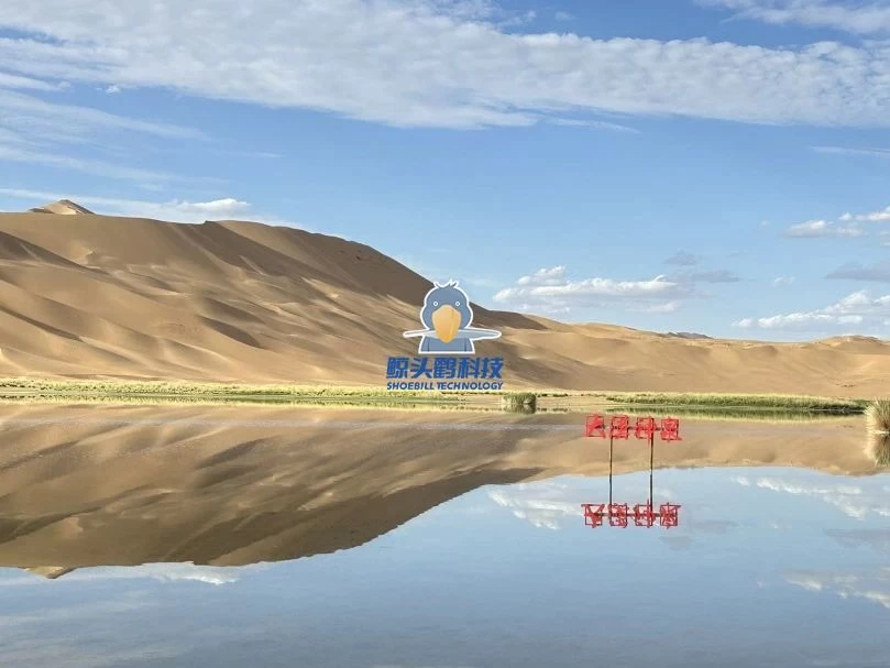 المغامرة في قلب الصحراء المغامرة في قلب الصحراء