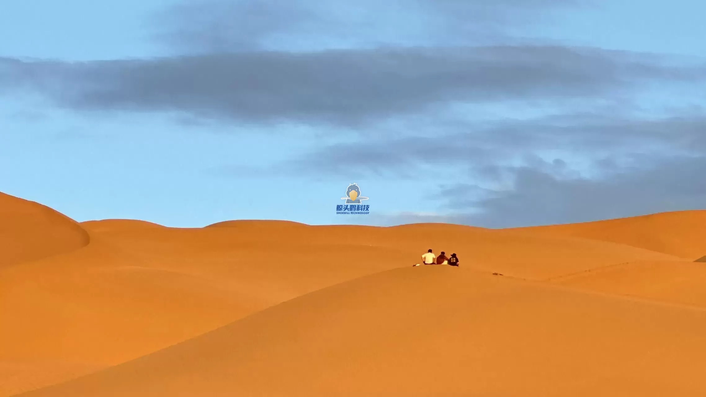 المغامرة في قلب الصحراء المغامرة في قلب الصحراء