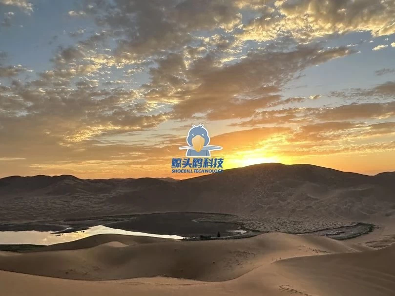 المغامرة في قلب الصحراء المغامرة في قلب الصحراء