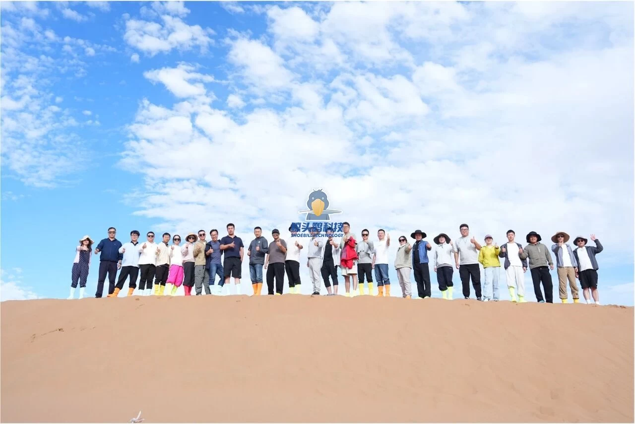 تقنية شوبيل تقنية شوبيل